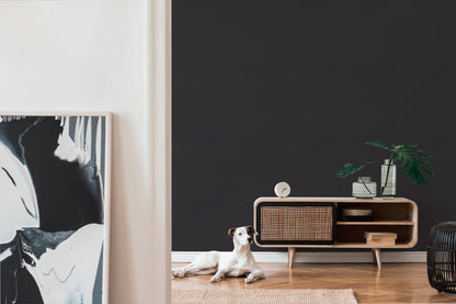 Daniel Hechter Geometrische Tapete Schwarz 375226 Wandtapete Vliestapete Vinyl