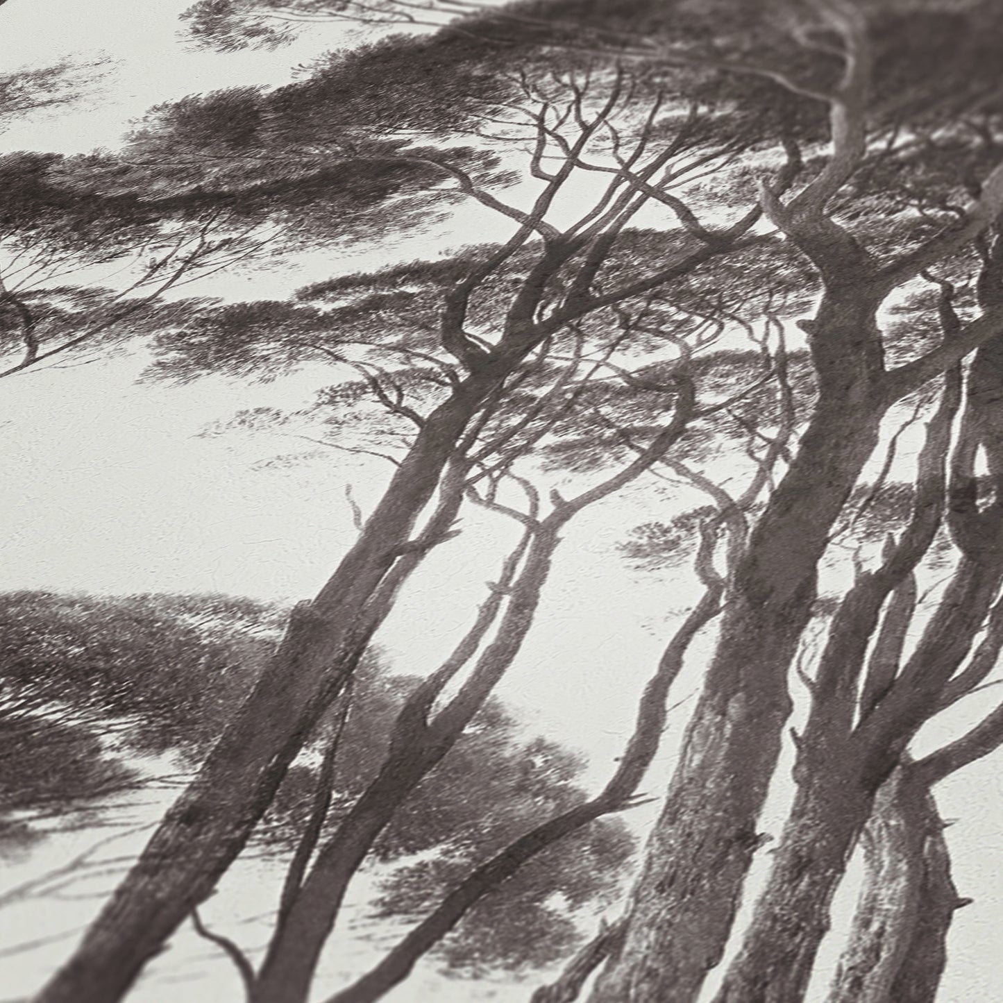 A.S. Création Waldtapete Schwarz 376511 Wandtapete Vliestapete Floral Vinyl