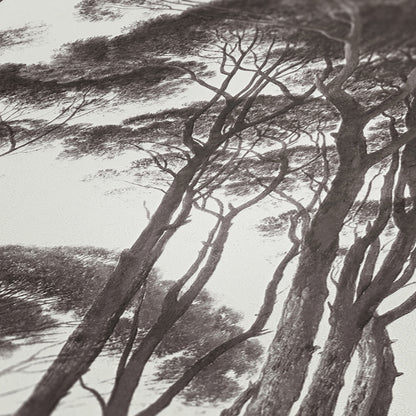 A.S. Création Waldtapete Schwarz 376511 Wandtapete Vliestapete Floral Vinyl