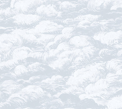 A.S. Création Wolken Tapete Grau 377052 Wandtapete Vliestapete Natur Vlies Rolle