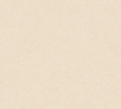 A.S. Création Uni Tapete Creme 378651 Wandtapete Vliestapete Unis Vinyl Rolle