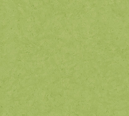 A.S. Création Uni Tapete Grün 378658 Wandtapete Vliestapete Unis Vinyl Rolle