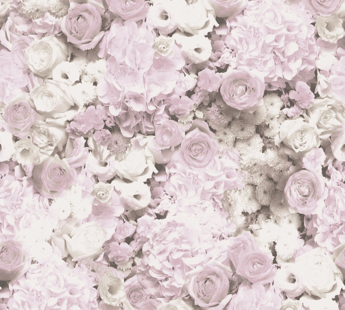 A.S. Création Blumentapete Blumen floral Rosa 380081 Trendwall 2 Wandtapete