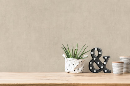 A.S. Création Uni Tapete Beige 380245 Wandtapete Vliestapete Unis Vinyl Rolle