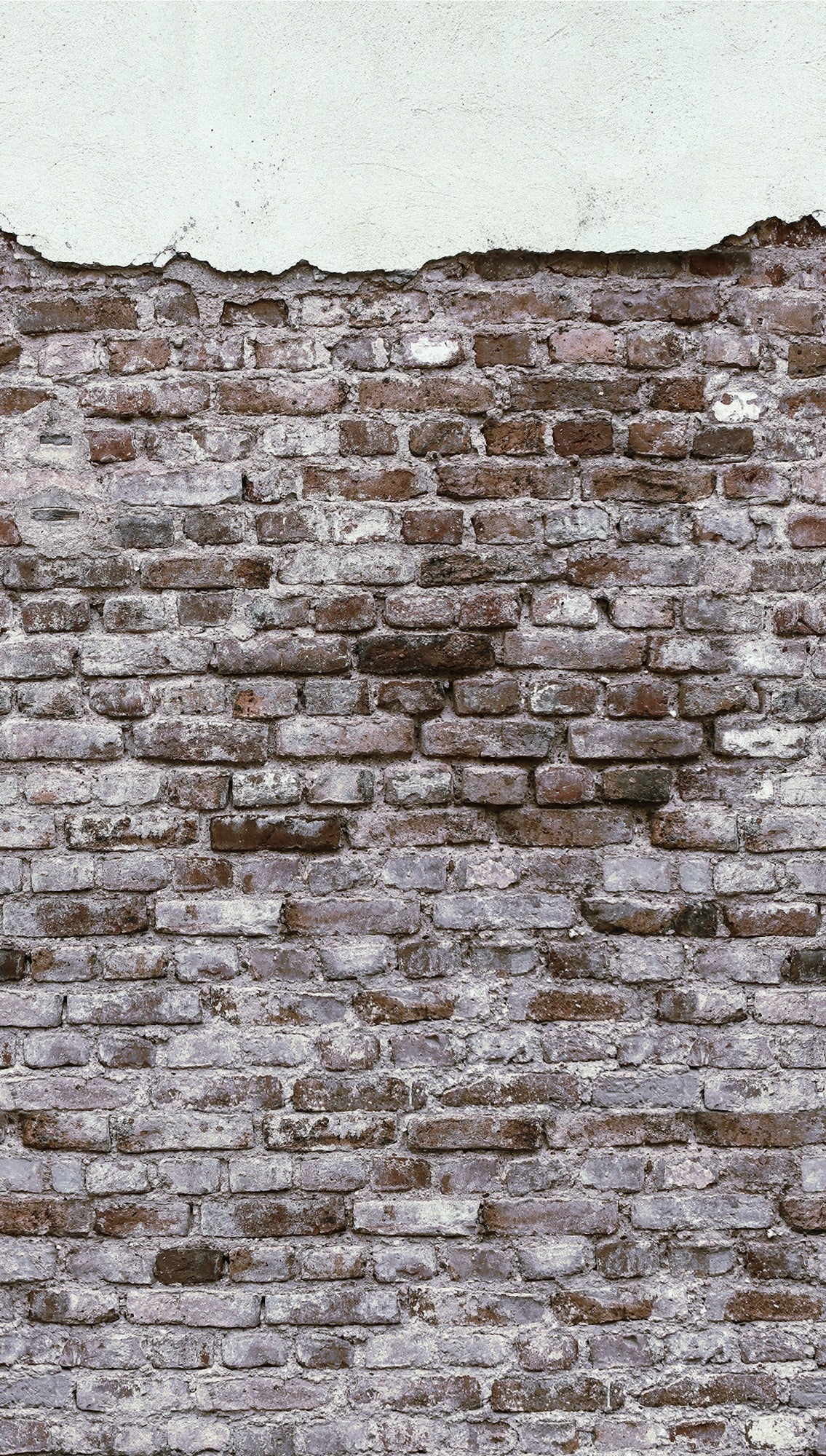 A.S. Création Steinoptik Grau 383331 Wandtapete Vlies Vlies  Tapete The Wall