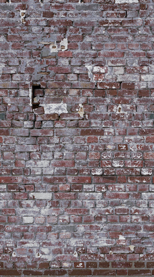 A.S. Création Steinoptik Rot 383371 Wandtapete Vlies Vlies Rolle Tapete The Wall