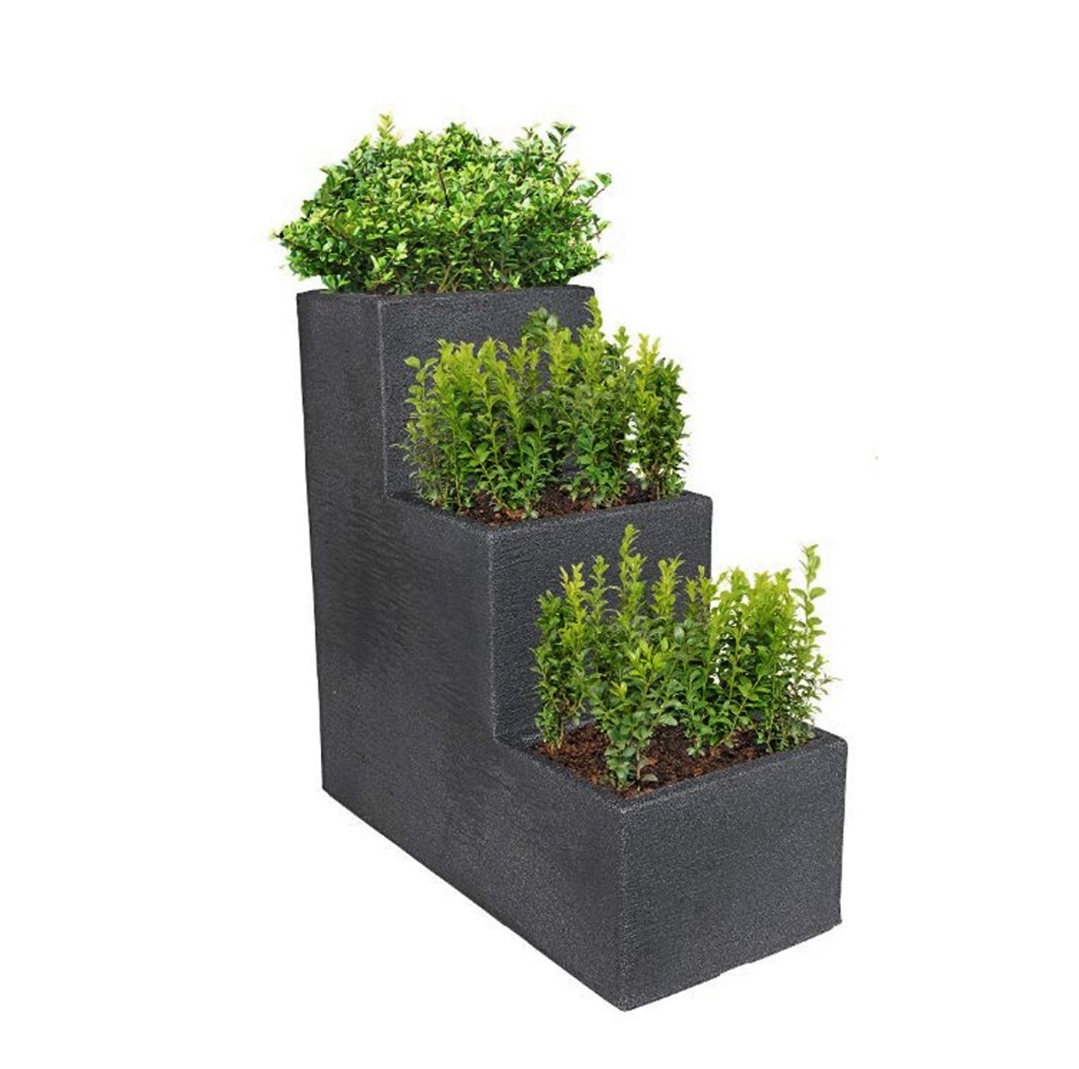 XL Kübel Pflanzkübel Treppentopf 60cm Blumentreppe Blumen Kübel Topf Beton Optik