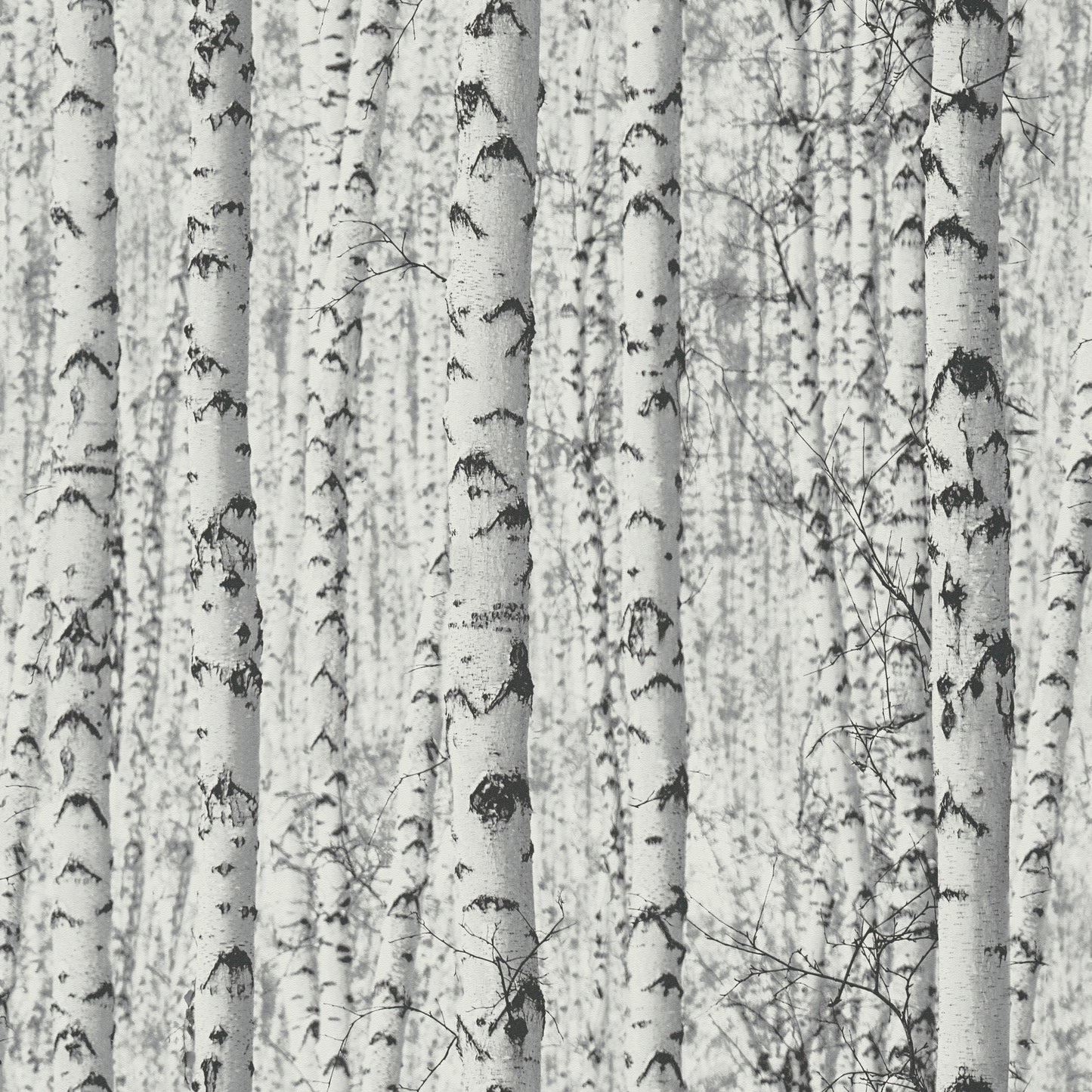 A.S. Création Tapete PintWalls 387191 Tapete Wald Waldtapete schwarz weiß Vlies