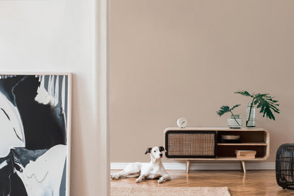 A.S. Création Tapete Antigua 390971 Beige Satin Wandtapete Unitapete matt Uni