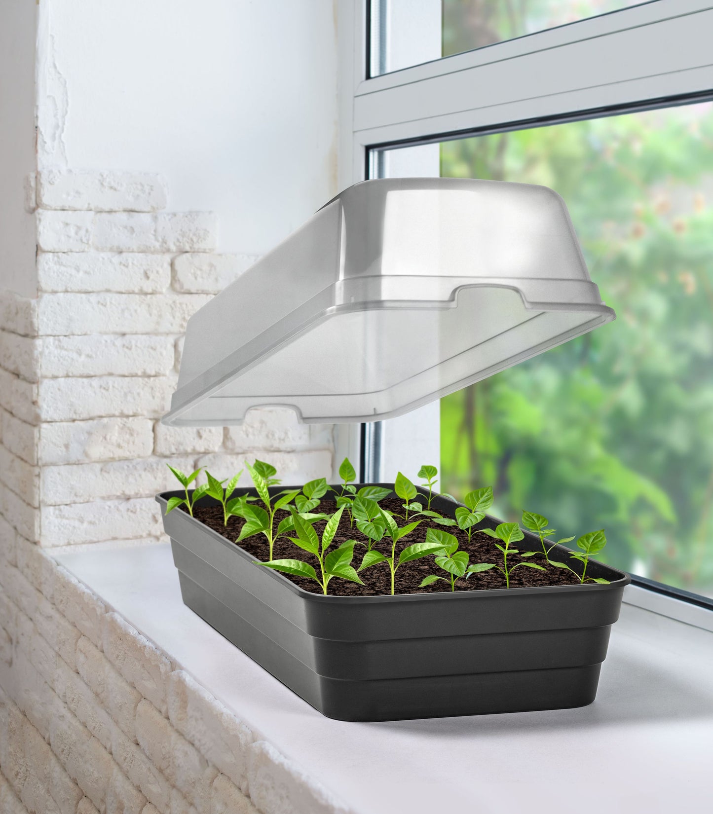 5x Aufzuchtbeet Deckel Set Beet Frühbeet Anzuchtkasten Mini Gewächshaus Anzucht