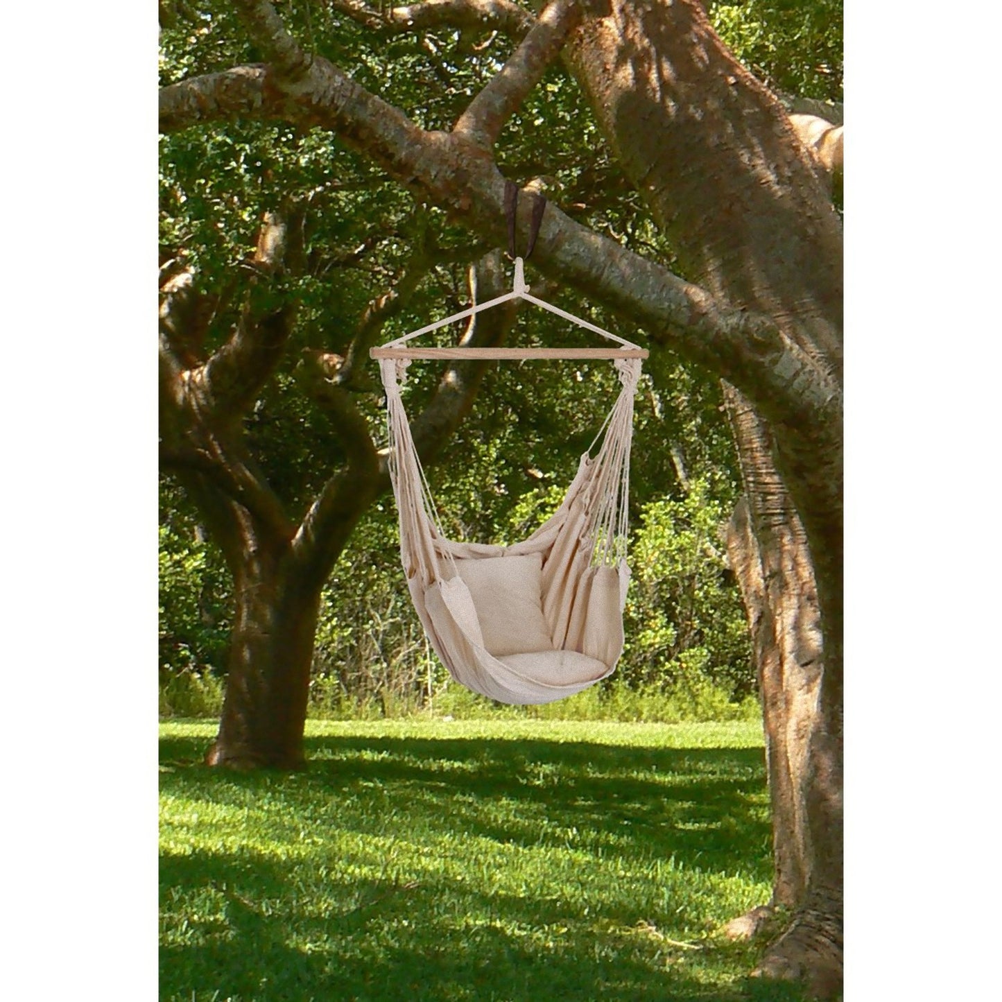 Hängesessel TOBAGO Hängestuhl Hängematte Hängesitz Schaukel 2 Kissen beige