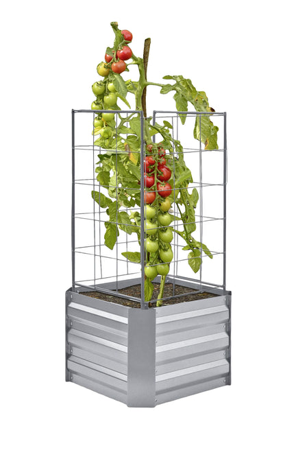 Beetumrandung Dahlia Rankhilfe Stahl Blumengitter Beet Pflanzkübel Blumenkasten