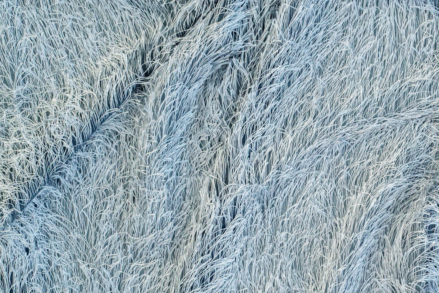 Schlaufen Vorhang Loik silber 140x245 Wohnzimmer Schlafzimmer Kinderzimmer Deko
