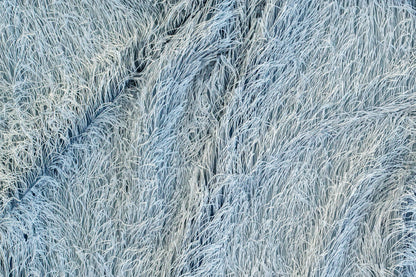 Schlaufen Vorhang Loik silber 140x245 Wohnzimmer Schlafzimmer Kinderzimmer Deko