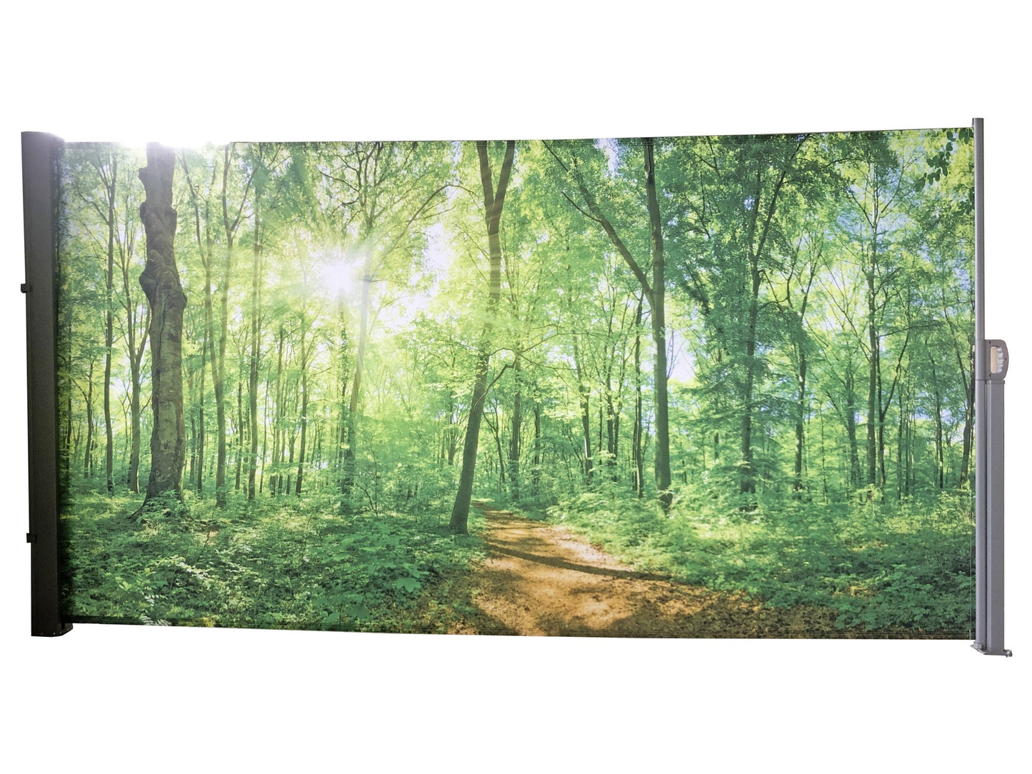 Seitenmarkise Motiv Waldlichtung grau 160x300 Markise Seite Balkon Sichtschutz