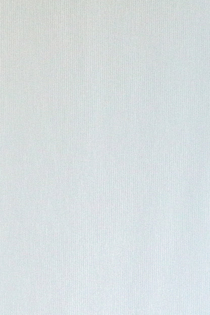 Flächenvorhang Faria weiß 60x245 Vorhang Wohnzimmer Schlafzimmer Kinderzimmer