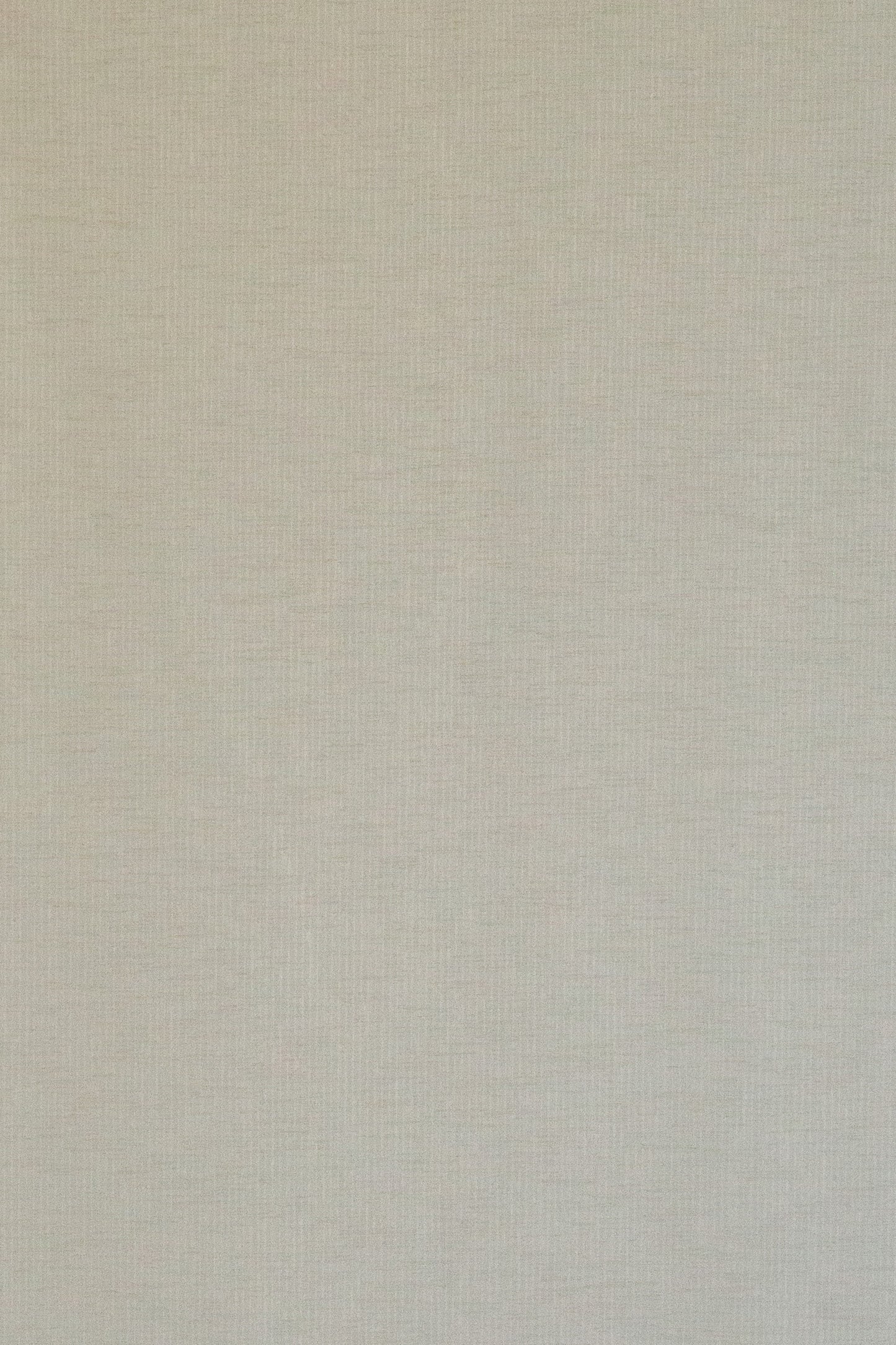 Flächenvorhang Faria beige 60x245 Vorhang Wohnzimmer Schlafzimmer Kinderzimmer