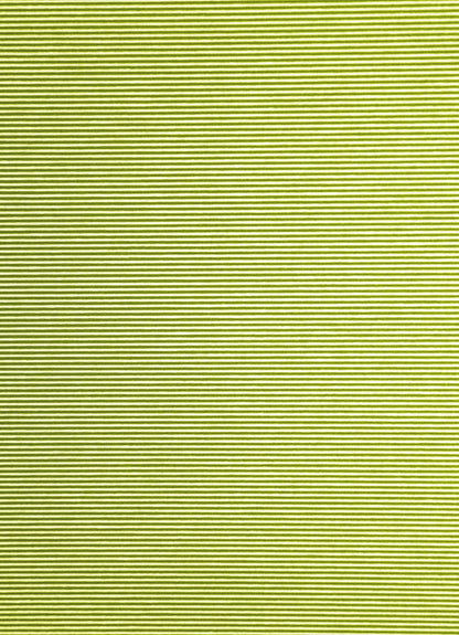 Homing Flächenvorhang Manhatten 60x245cm grün Vorhang Wohnzimmer Schlafzimmer