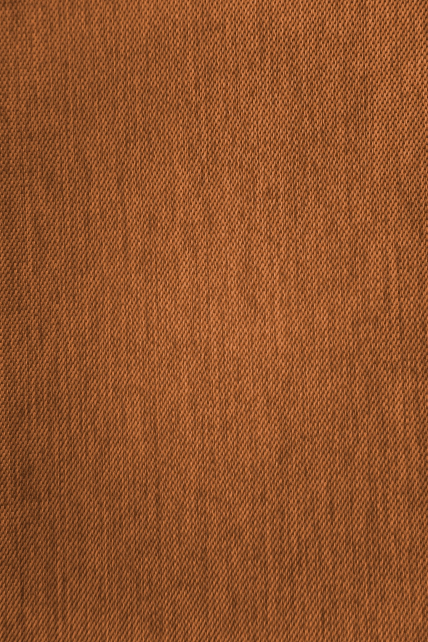 Homing Schlaufenschal Galdin 140x245 Vorhang Schlafzimmer verdunkelnd ziegel