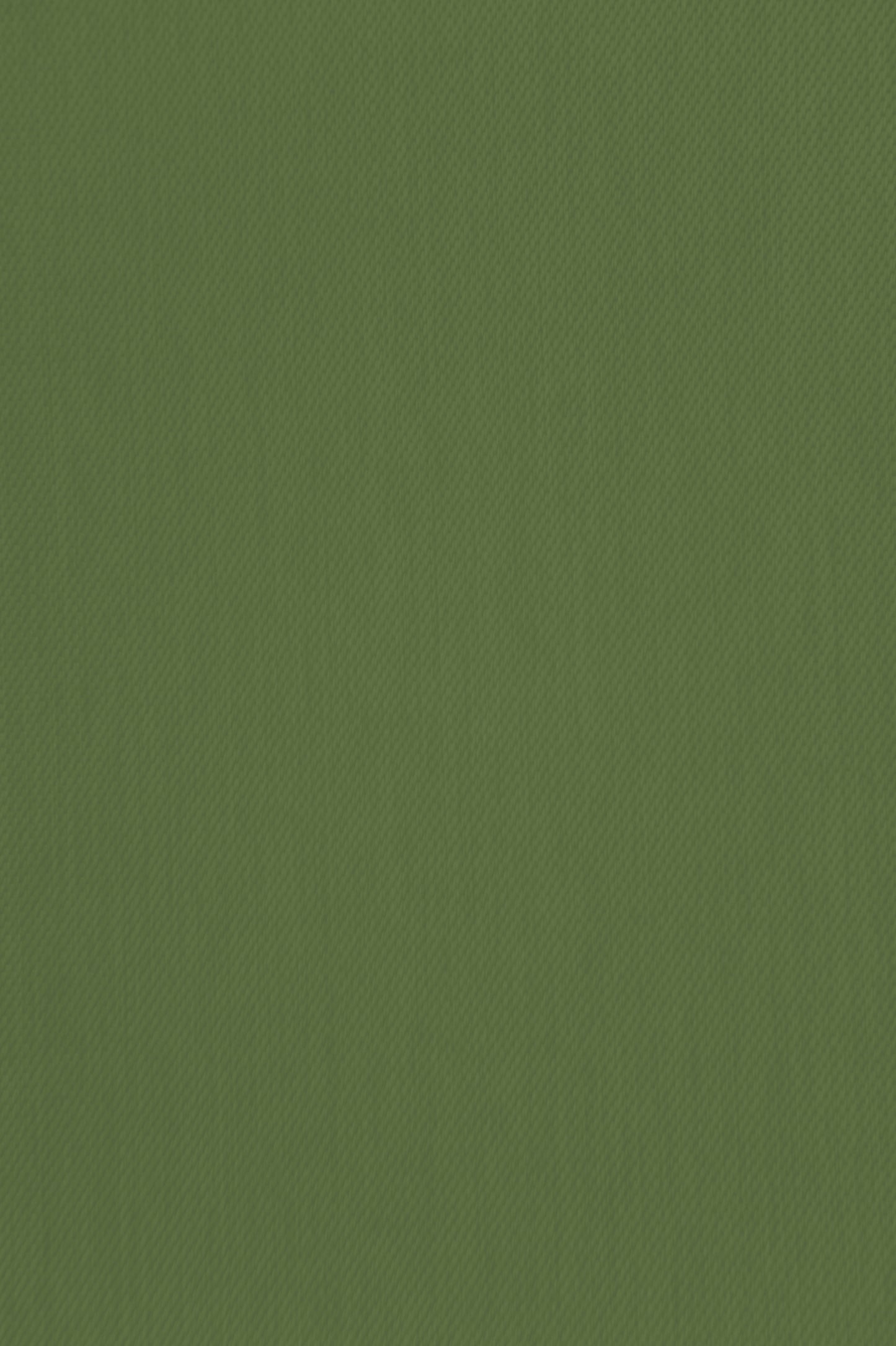 Homing Verdeckter Schlaufenschal Galdin 140x245 cm olivgrün Vorhang Wohnzimmer