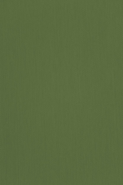 Homing Verdeckter Schlaufenschal Galdin 140x245 cm olivgrün Vorhang Wohnzimmer