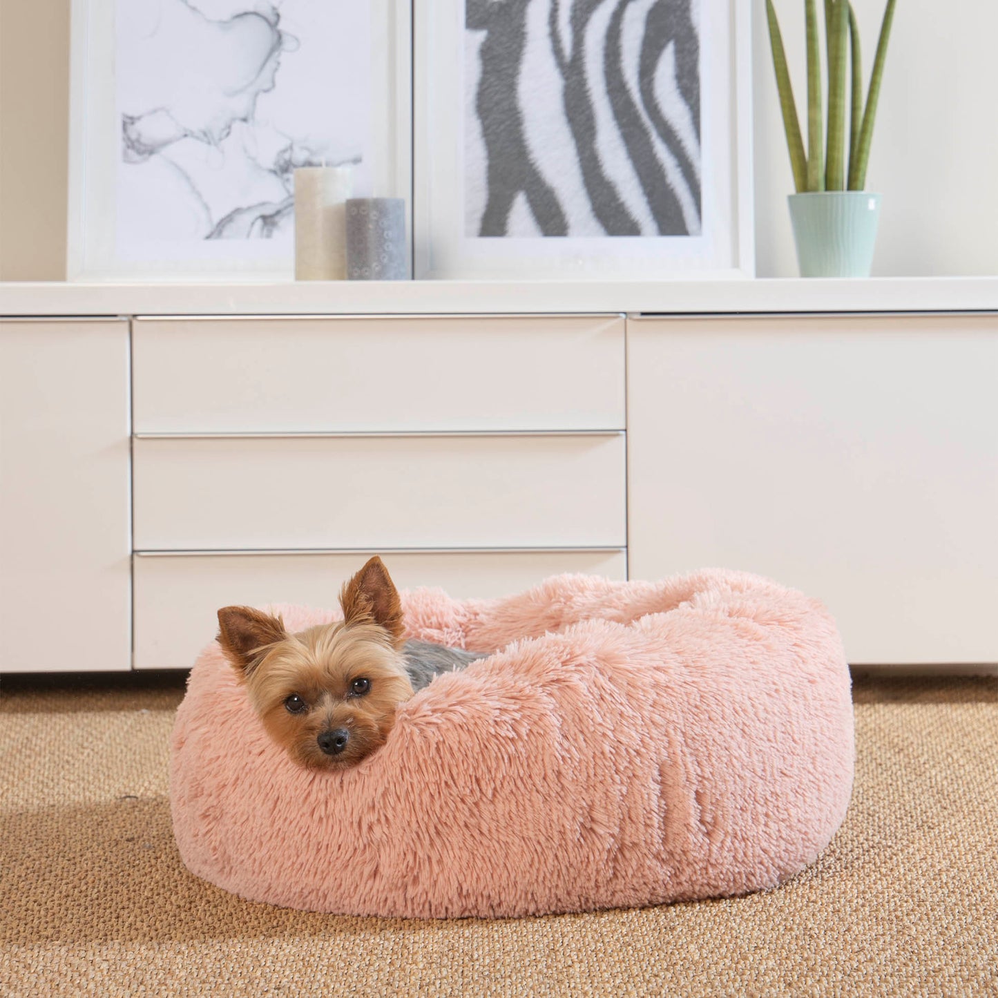Plüsch Hundebett 55cm Katzenbett Hunde Kissen Hundekorb Schlafplatz Hund Katze
