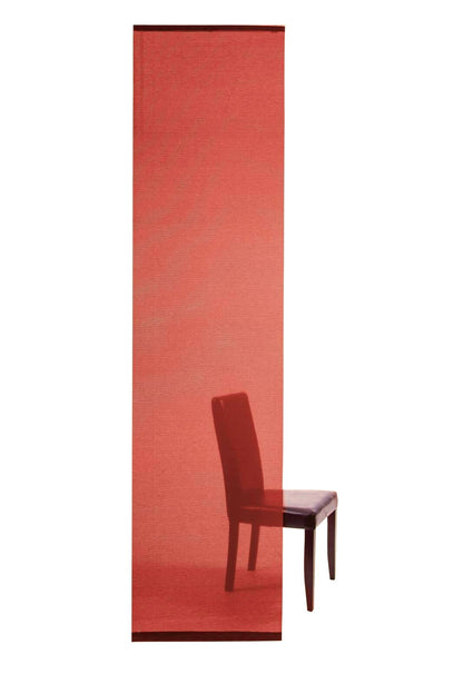 2x Vorhang 225x57cm Schiebevorhang Gardine transparent Flächenvorhang Vorhänge