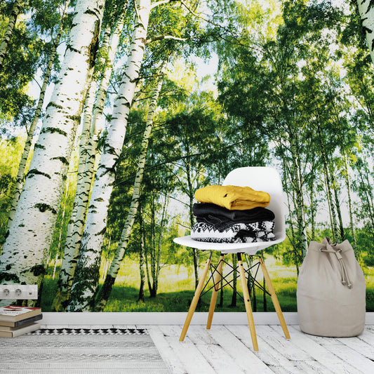 A.S. Création Papier Fototapete Birkenwald Sunshine DD118848 Wald Designwalls