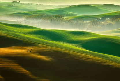 A.S. Création Vlies Fototapete Natur  Hills DD118916 Landschaft  Designwalls 2.0