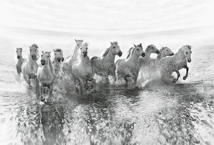 A.S. Création Vlies Fototapete Pferde White Horses DD118941 Tiere Designwalls