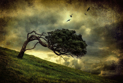 A.S. Création Vlies Fototapete Baum Scary Vintage Tree DD118967 Natur Designwall