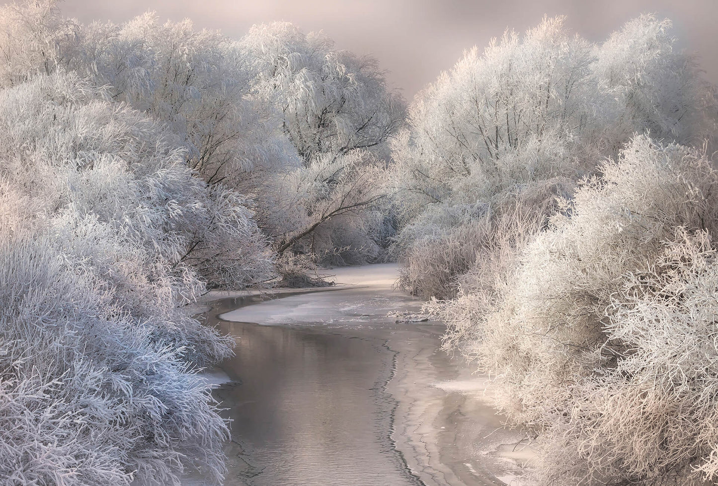 A.S. Création Vlies Fototapete See Frozen Forrest DD118968 Wald Designwalls 2.0