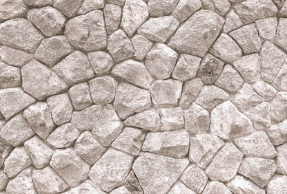 A.S. Création Vlies Fototapete Stein  Large Stone Wall DD118977  Designwalls 2.0