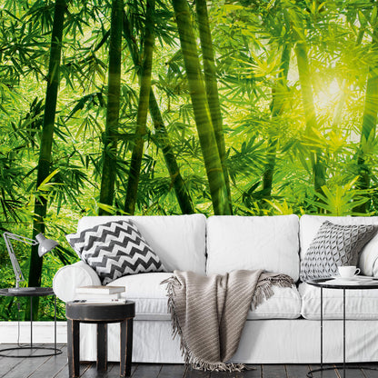 A.S. Création Vlies Fototapete Bambus Bamboo Forest DD118986 Natur Designwalls