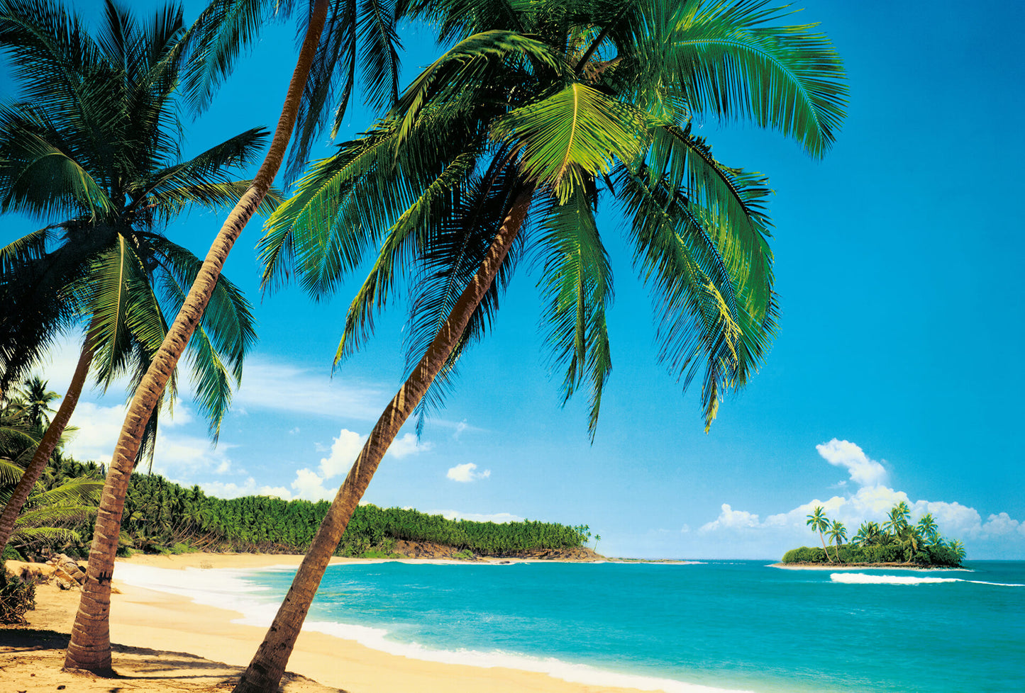 A.S. Création Vlies Fototapete Palmen Ile Tropicale DD119004 Strand Designwalls