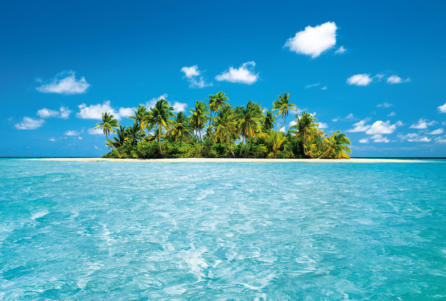 A.S. Création Vlies Fototapete Palmen Maldive Dream DD119006 Strand Designwalls