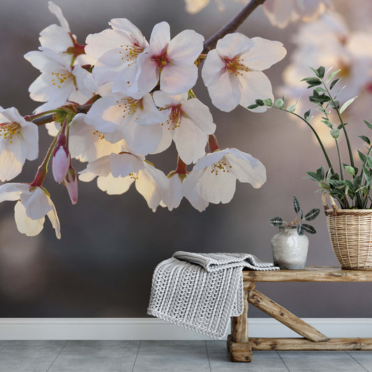 A.S. Création Vlies Fototapete Kirschblüte Blossoms DD119047 Baum Designwall