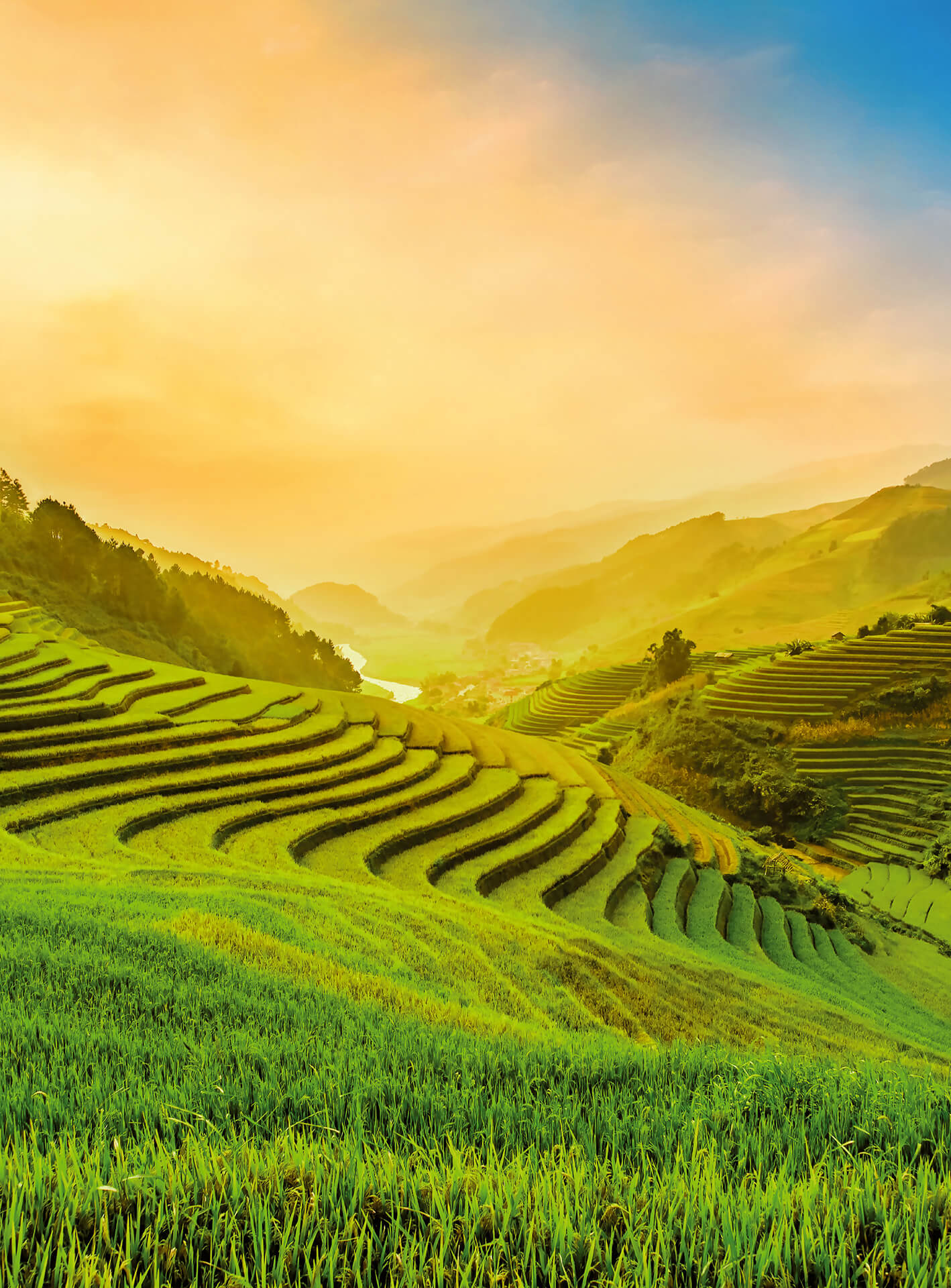 A.S. Création Vlies Fototapete Landschaft  Terraced Rice Field DD119059 Berge
