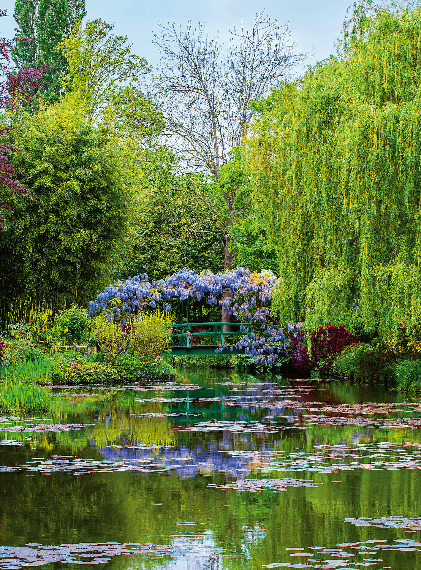 A.S. Création Vlies Fototapete See Monets Garden France DD119061 Wald Designwall