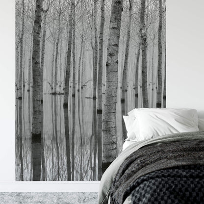 A.S. Création Vlies Fototapete See Birch Forest In The Water DD119083 Designwall