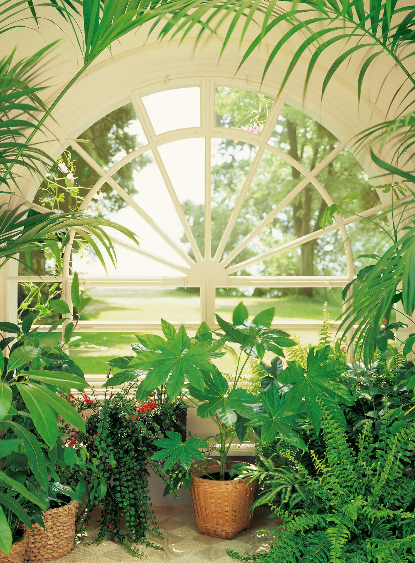 A.S. Création Vlies Fototapete Fensterblick Wintergarden DD119110 Designwall