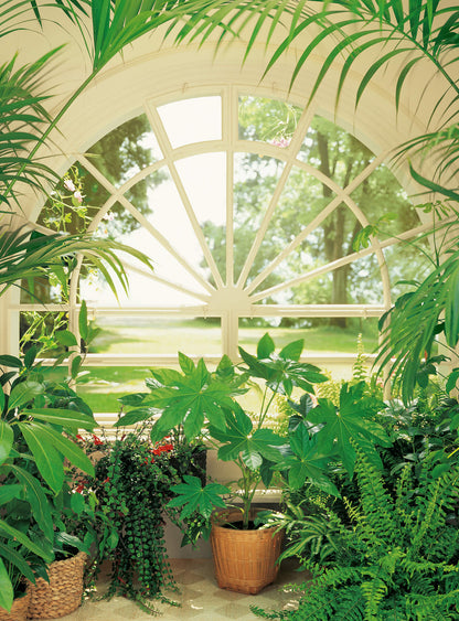 A.S. Création Vlies Fototapete Fensterblick Wintergarden DD119110 Designwall
