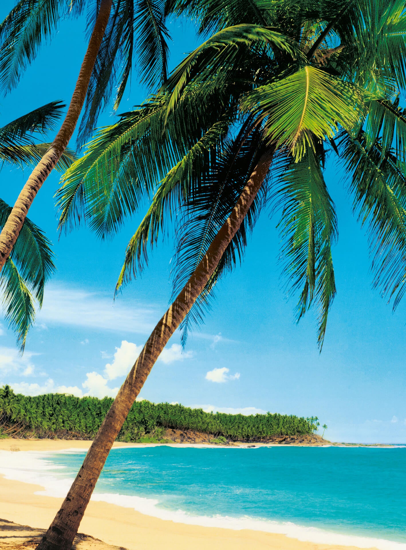 A.S. Création Vlies Fototapete Palmen Ile Tropicale DD119111 Strand Designwalls