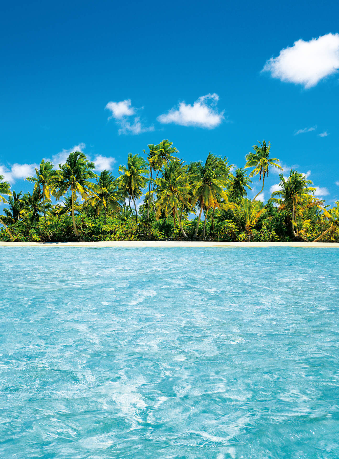 A.S. Création Vlies Fototapete Palmen Maldive Dream DD119113 Strand Designwalls