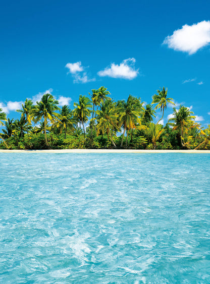 A.S. Création Vlies Fototapete Palmen Maldive Dream DD119113 Strand Designwalls
