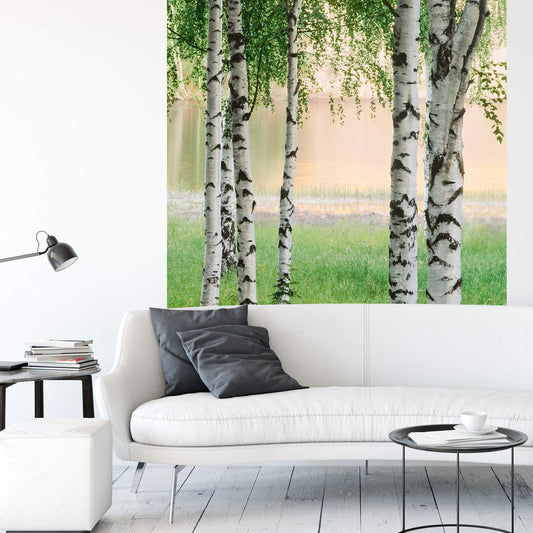 A.S. Création Vlies Fototapete Birkenwald Nordic Forest DD119114 Wald Designwall