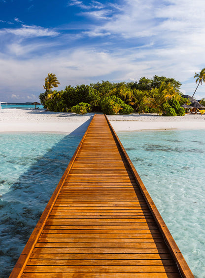 A.S. Création Vlies Fototapete Palmen Way to Paradise DD119122 Strand Designwall