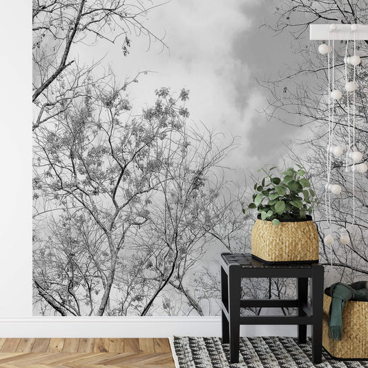 A.S. Création Vlies Fototapete Wald  Tree Tops  DD119124 Baum  Designwalls 2.0