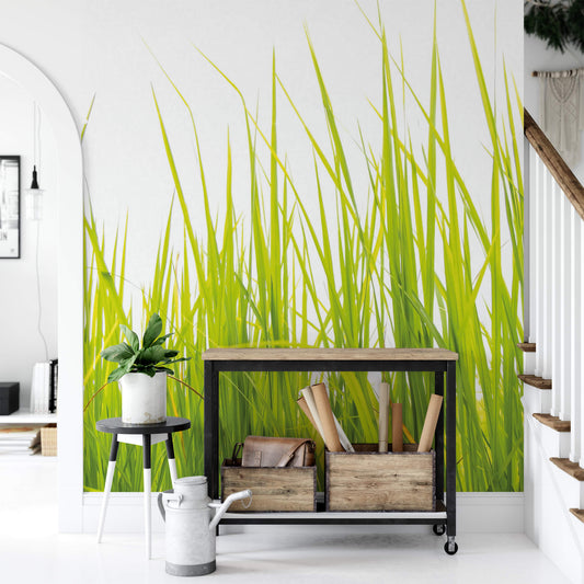 A.S. Création Vlies Fototapete Natur  High Grass DD119137  Designwalls 2.0