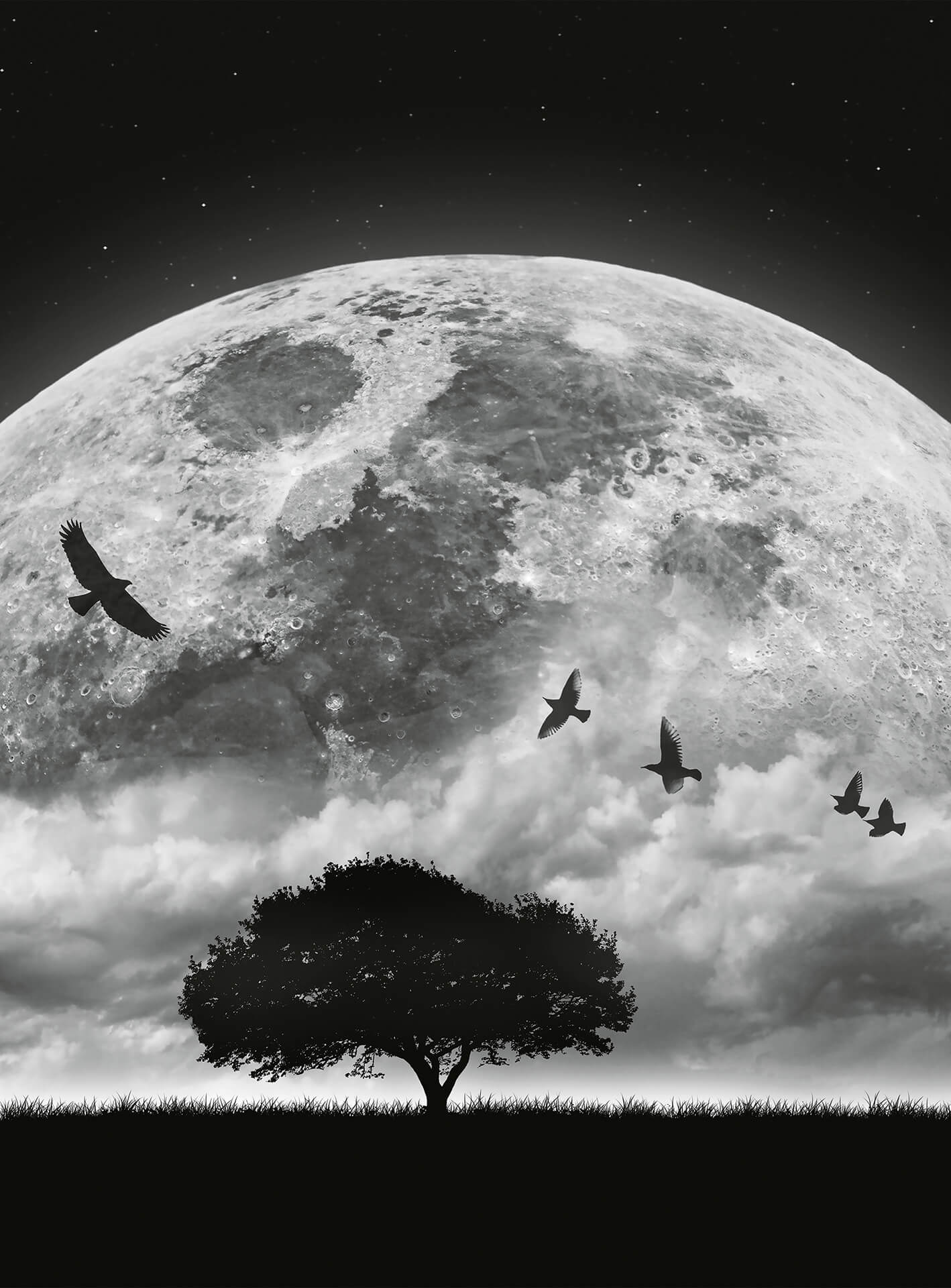 A.S. Création Vlies Fototapete Mond - Moon and Birds DD119153 Sternenhimmel